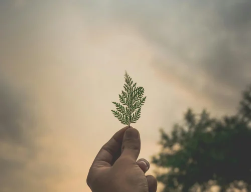 Événement professionnel éco-responsable : les clés pour réussir