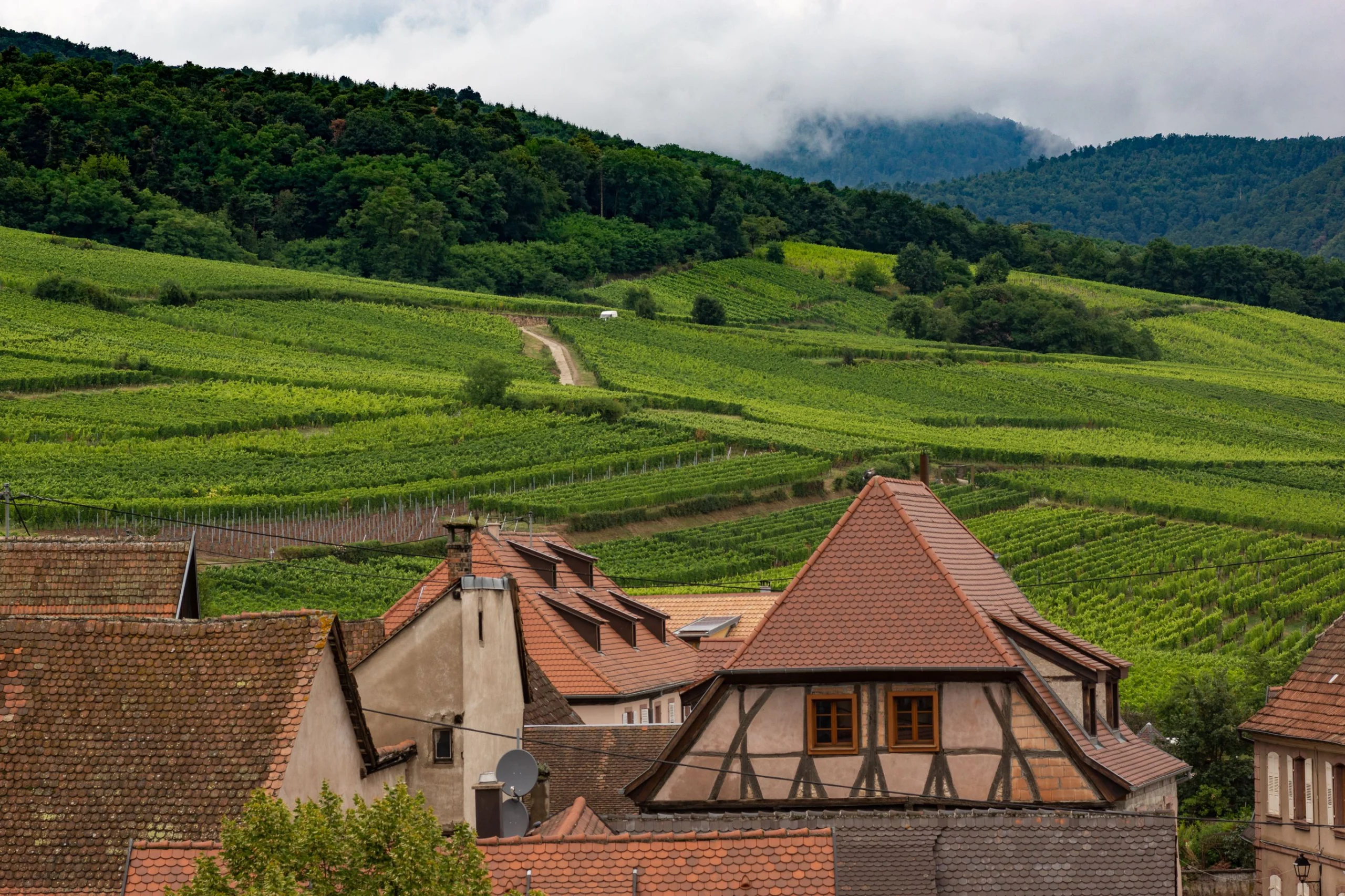 Organiser un anniversaire en Alsace : 4 bonnes raisons de choisir cette destination Organiser un anniversaire en Alsace : 4 bonnes raisons de choisir cette destination