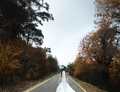 Mariage d&rsquo;automne en Alsace : nos idées déco pour une célébration inoubliable